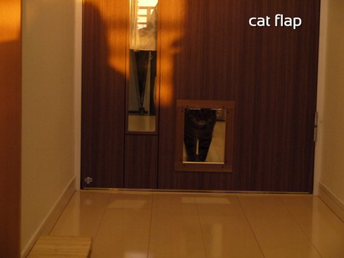 猫ドアシマ１.jpg