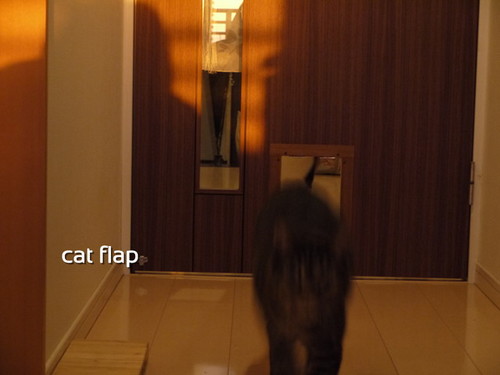 猫ドアシマ２.jpg