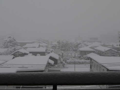 雪の朝.JPG